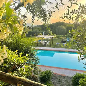 Bed & Breakfast Alloro, Capannori